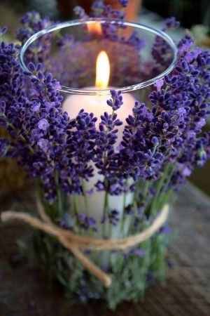 morado 9