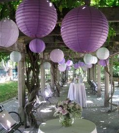 morado 20