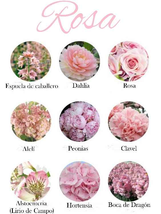 rosas