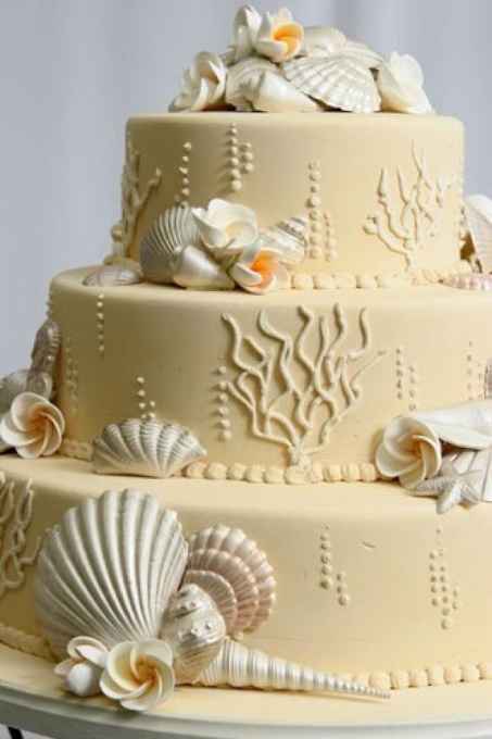 tarta 18