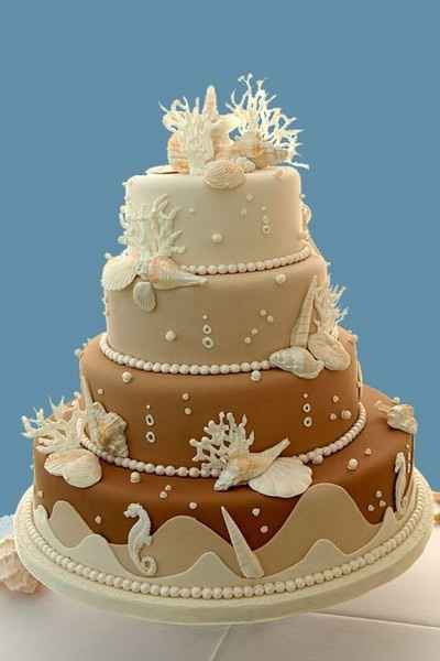 tarta 9