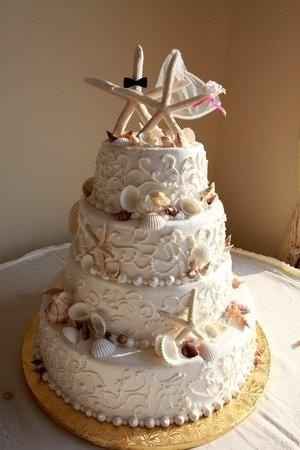 tarta 13