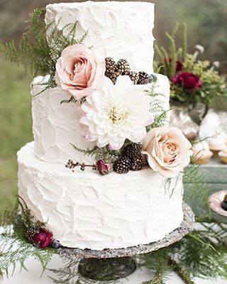 tarta 6
