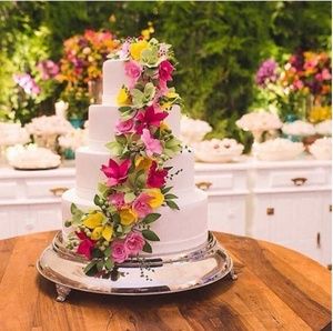 tarta 7