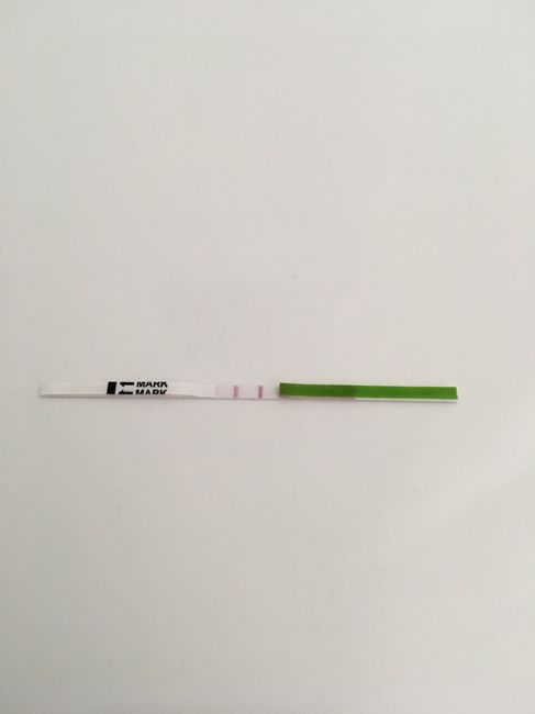 Test de ovulación: dudas!! 2