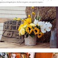 girasoles