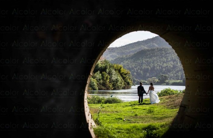 Ayuda ! Postboda en Cataluña! Donde? 6