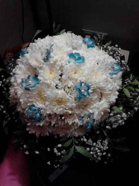 ramo 1