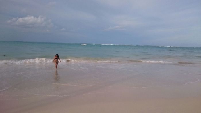 Puntacana algas - 1