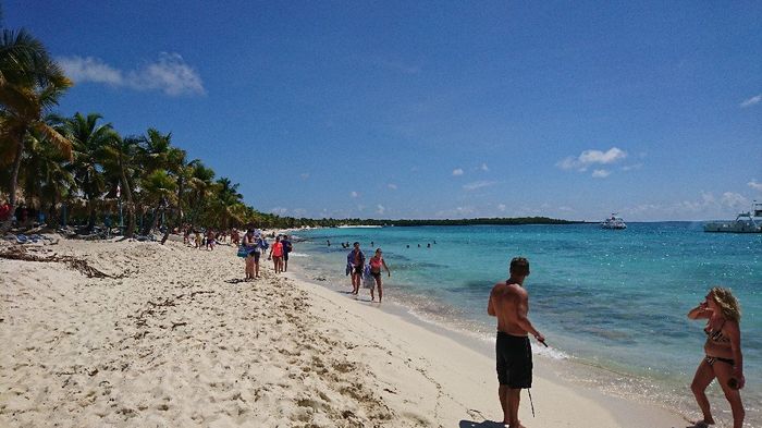 Puntacana algas - 3