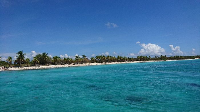 Puntacana algas - 2