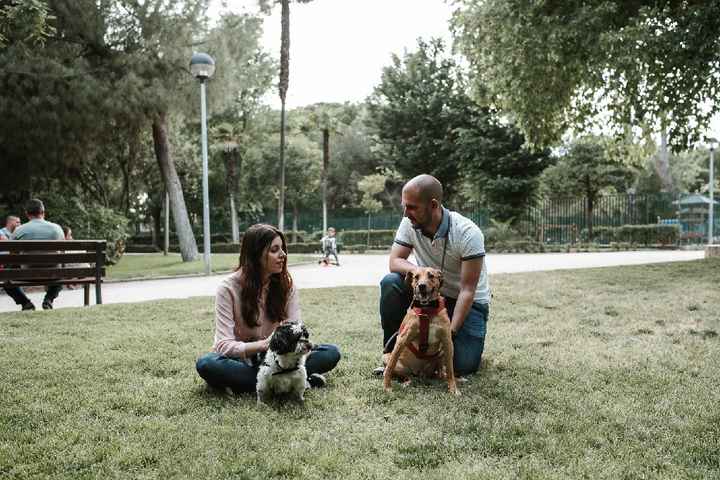 Mascotas en la boda? - 1