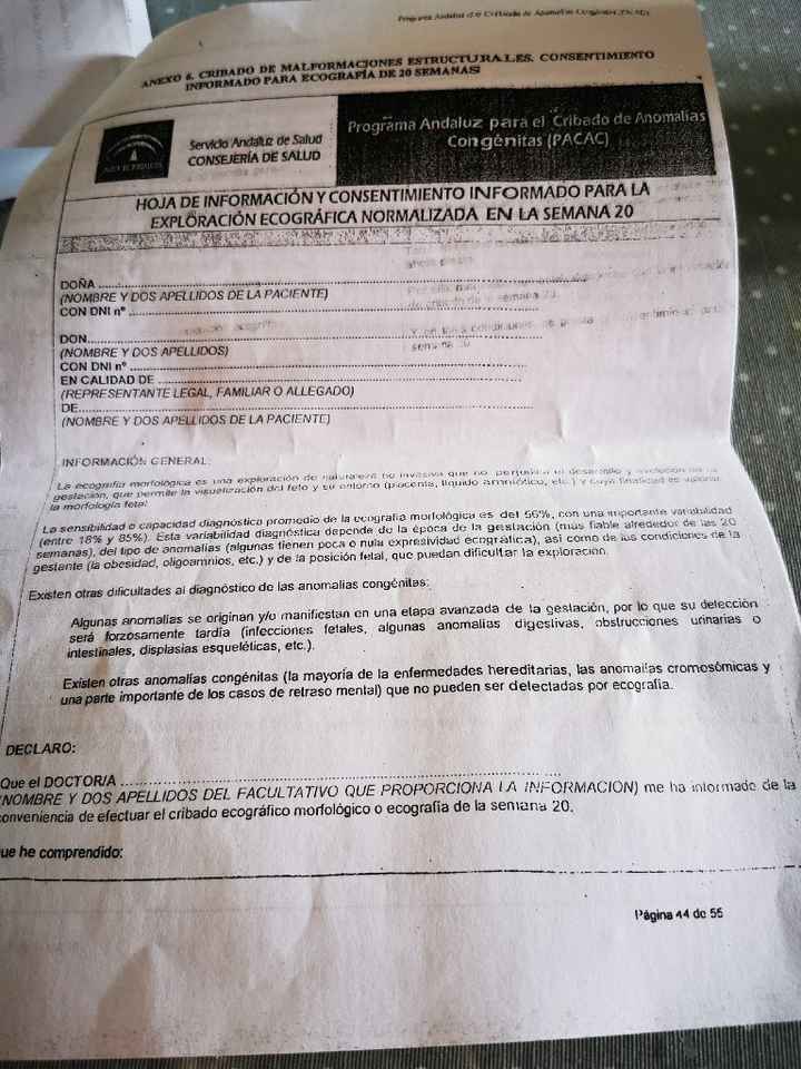 Futuras mamis diciembre 2019 oficial - 1