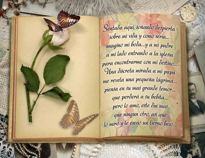 k bonito