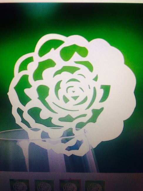 flor rosa
