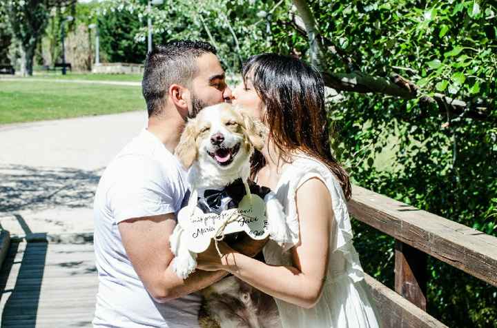 Mi perro llevará los anillos 🐶 - 1