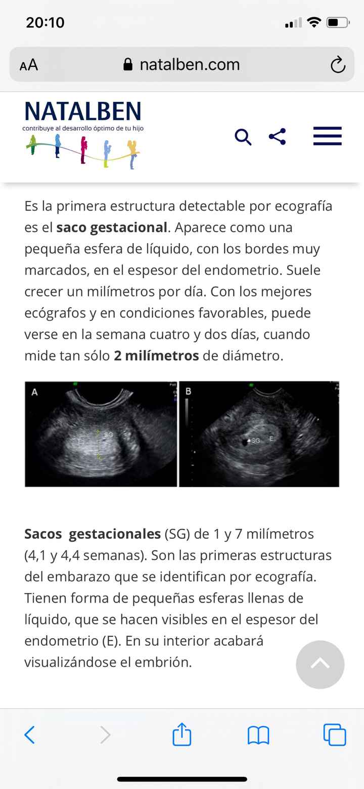 Futuras Mamás Julio 2020 - 1