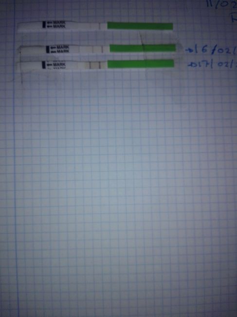 Resuelvo dudas sobre los to (test de ovulacion) - 1