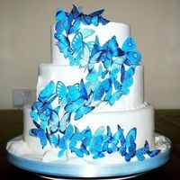 mariposas comestibles