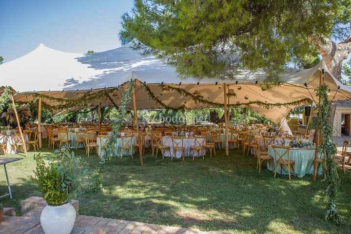 Carpa en el banquete - 1
