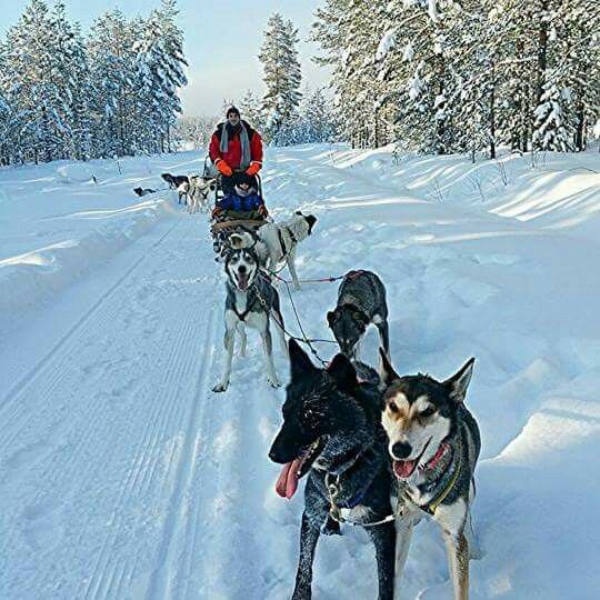 ¿finlandia en noviembre? 1