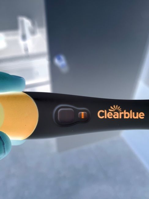 Buscadoras abril 2026 🍀 3