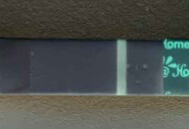 Buscadoras febrero 2024 - 1