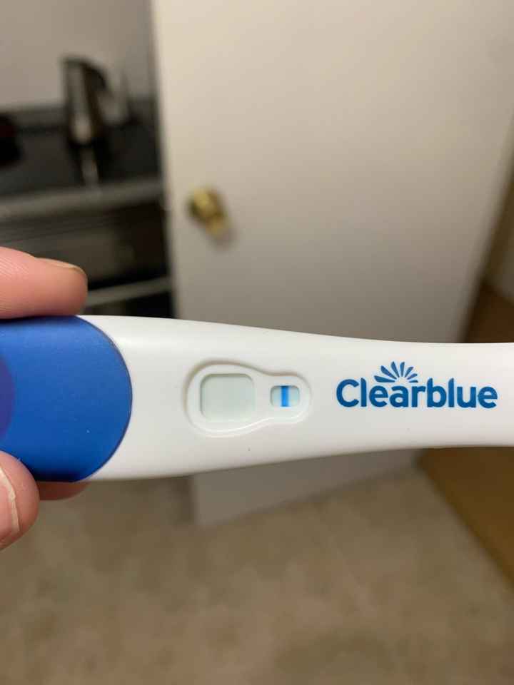 Buscadoras abril 2026 🍀 - 1