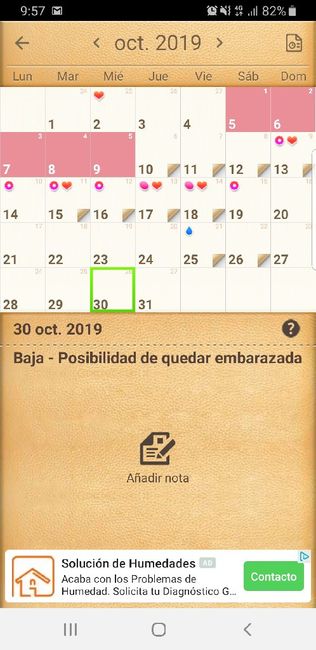 Buscadoras Noviembre 2019 1