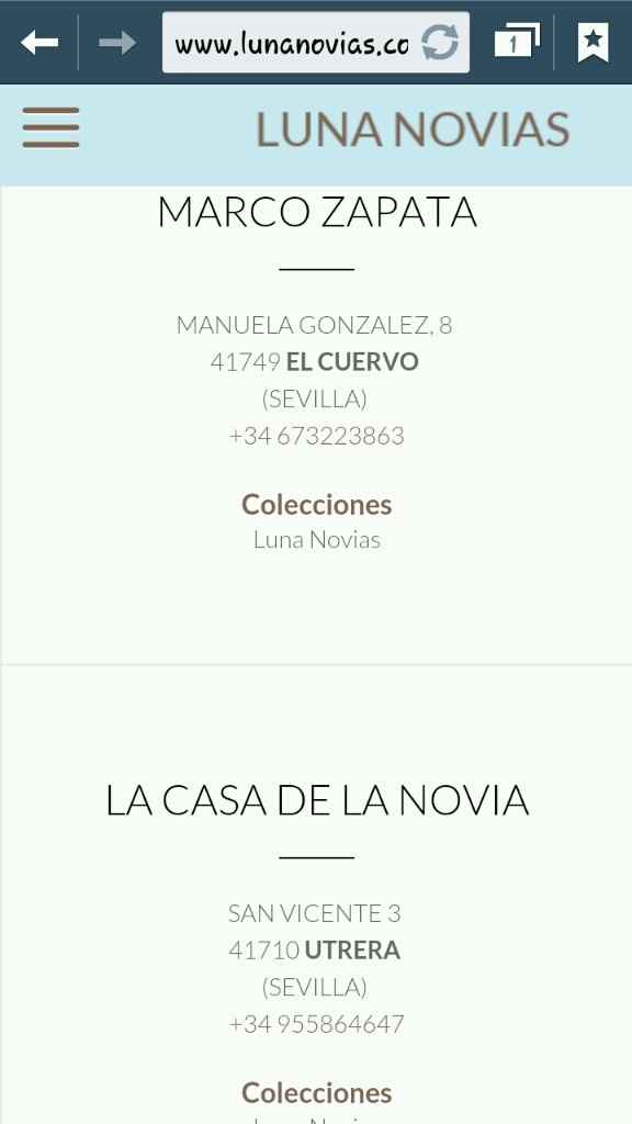Vestidos lunas novias en huelva/sevilla? - 3