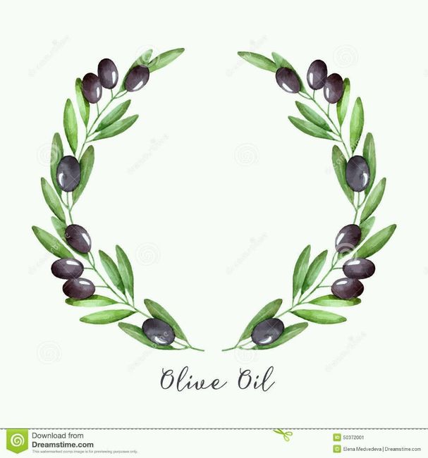 S.o.s. plantillas de ramas de olivo - 3