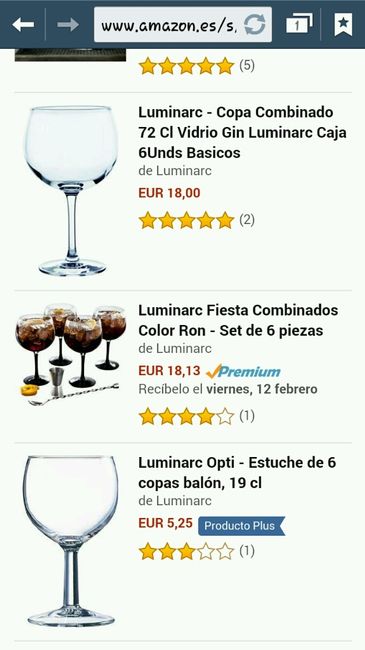 Copas de balon gin tonic - 2