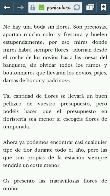 Tipos de flores al centro de las mesas - 1