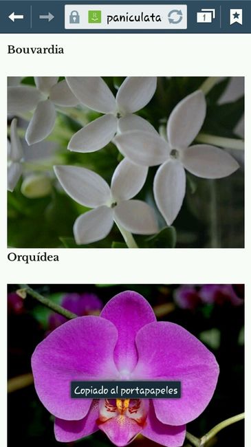Tipos de flores al centro de las mesas - 8