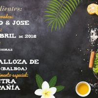  Boda de dos chicos - 2