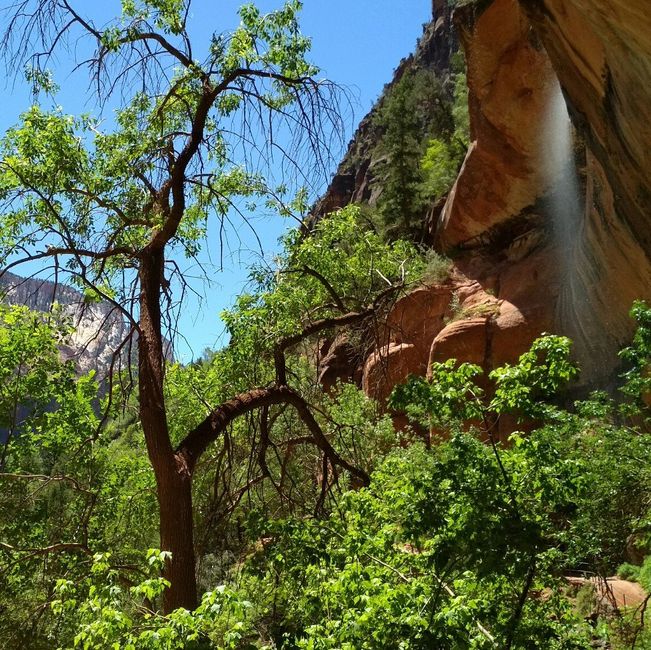 Zion Park