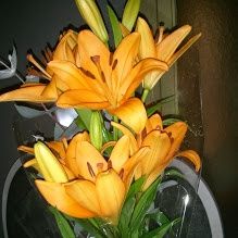 Regalo