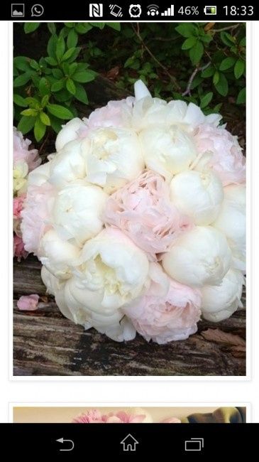 ¿Qué tipo de flores vais a llevar en el ramo? - 1