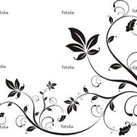 fondo invitacion