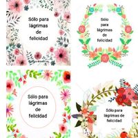 Lágrimas de felicidad - 2