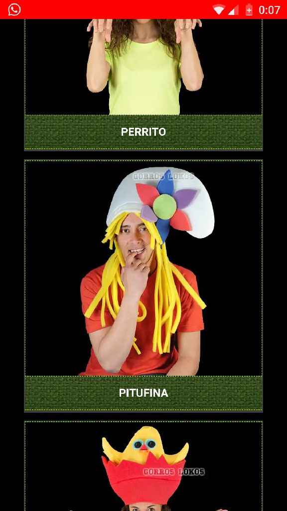 Gorros espuma - 1