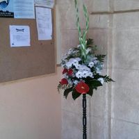 Recomendaciones - 1