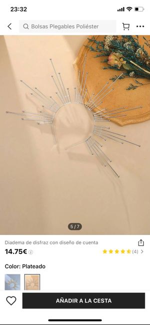 Diadema de plumas - 11