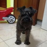 Rebeca