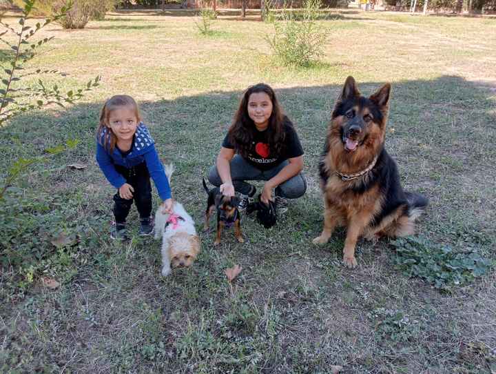 ¿Que os parece nuestra idea para traer las alianzas a la boda?😍🐶🥰 - 1
