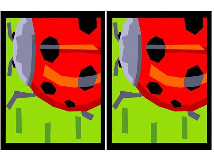 portada y contraportada