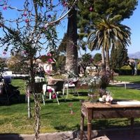 Árbol de los deseos 