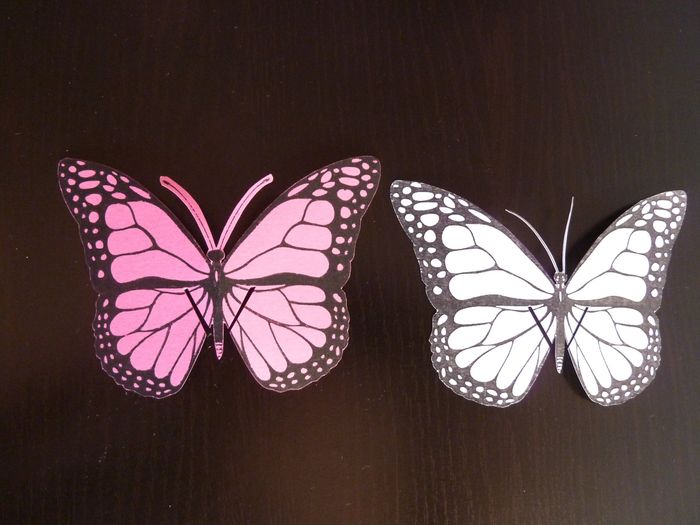 Las tarjetas