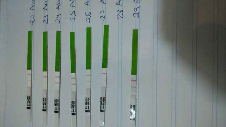 Test de ovulacion ayuda!! - 1