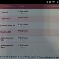 Nuevo futuras mamas enero 2017 - 1